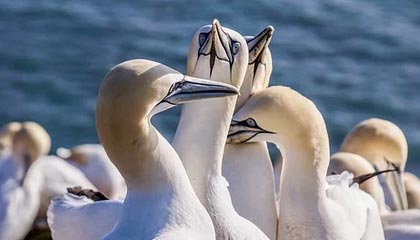 PG游戏官网：开启指尖娱乐的新纪元