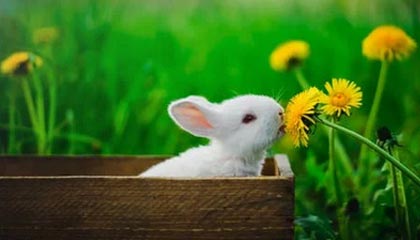 劳塔罗：欧冠决赛0-5输给大巴黎之后，我5天都没有说话